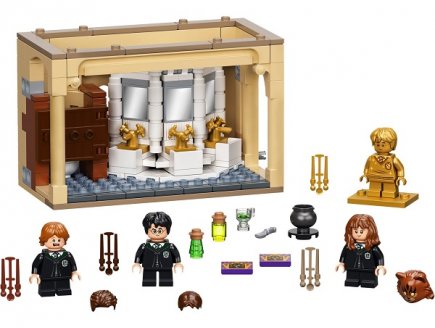 Lego harry potter 76386 poudlard : l'erreur de la potion polynectar