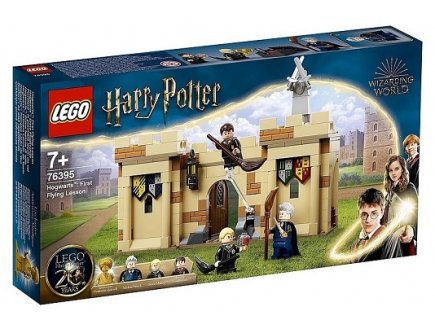 LEGO HARRY POTTER 76395 POUDLARD : LA PREMIERE LECON DE VOL