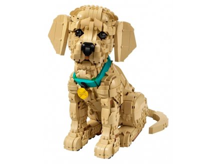 Lego Icons 11384 Le chiot Golden Retriever