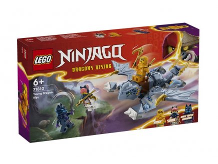 Lego ninjago 71810 le jeune dragon riyu