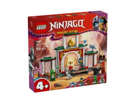 LEGO NINJAGO 71831 LE TEMPLE DE SPINJITZU DES NINJAS