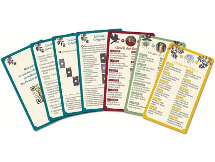Les oracles de la sorciere 93 cartes divinatoires - Grimaud - cartomancie, voyance, esoterisme