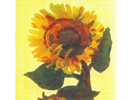 LOT DE 10 SERVIETTES EN PAPIER TOURNESOL : FLEURS - SERVIETTAGE