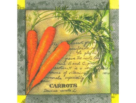 LOT DE 20 SERVIETTES EN PAPIER CAROTTES - RECETTE DE CUISINE - SERVIETTAGE