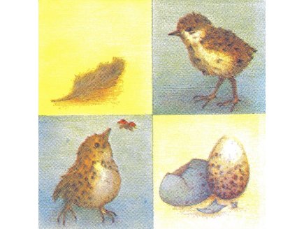 LOT DE 20 SERVIETTES EN PAPIER OISEAU ET OEUF - SERVIETTAGE