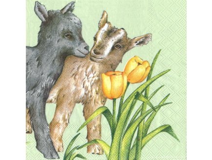 Lot de 20 serviettes en papier verte : 2 agneaux - serviettage animaux de la ferme - jeu loisir cr?atif