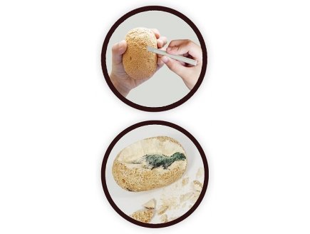 Maxi pack 12 oeufs de dinosaures a deterrer - buki - 2138 - kit excavation, fouilles