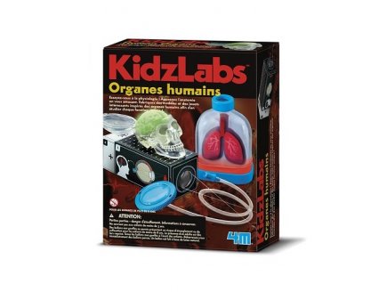 ORGANES HUMAINS - KIDZLABS 4M - KIT SCIENTIFIQUE ANATOMIE