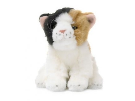 PELUCHE CHAT ASSIS CALICO 20 CM - ANNA CLUB - 23179007