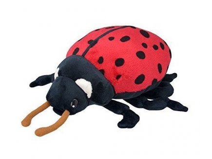 peluche coccinelle