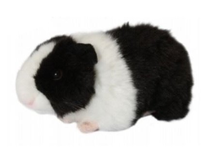 PELUCHE COCHON D'INDE NOIR 18 CM - LIVING NATURE - AN18A