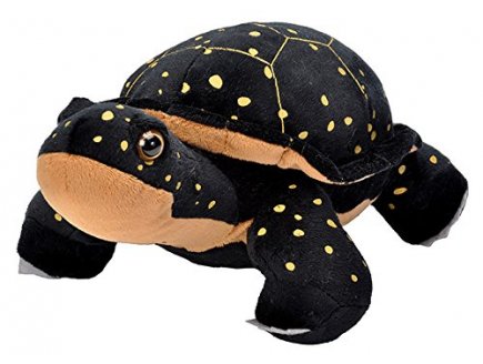 PELUCHE TORTUE PONCTUEE NOIR 32 CM - CUDDLEKINS - WILD REPUBLIC - 19420