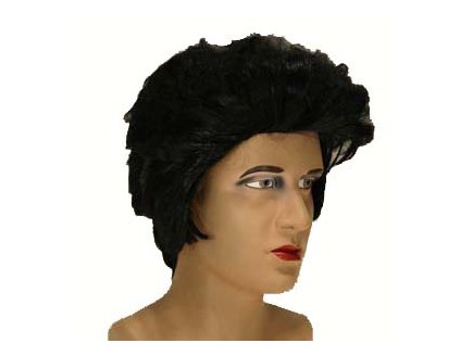 Perruque rocker noir