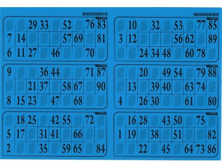 PLAQUE DE 6 GRILLES DE LOTO RIGIDE 1MM BLEU TURQUOISE - CARTONS LOTO - LOTOQUINE