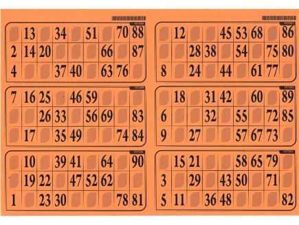 PLAQUE DE 6 GRILLES DE LOTO RIGIDE 1MM ORANGE - CARTONS LOTO - LOTOQUINE