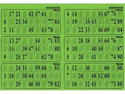 PLAQUE DE 6 GRILLES DE LOTO RIGIDE 1MM VERT MENTHE - CARTONS LOTO - LOTOQUINE