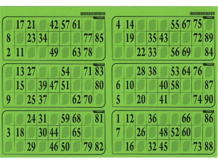 PLAQUE DE 6 GRILLES DE LOTO RIGIDE 1MM VERT MENTHE - CARTONS LOTO - LOTOQUINE