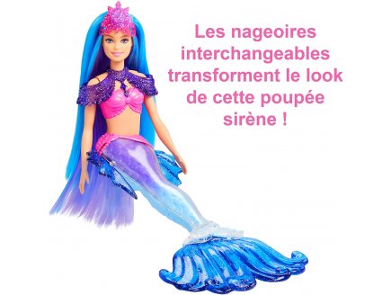 Poupee barbie mermaid power : sirene roberts cheveux bleu et violet + animal + 3 accessoires - Mattel - hhg52