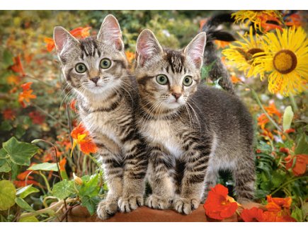 PUZZLE 2 ADORABLES CHATONS DANS LA NATURE - 1500 PIECES COLLECTION ANIMAUX FAMILIERS - CASTORLAND - 151899