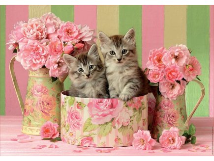 PUZZLE 2 CHATONS DANS UNE BOITE ET DES BOUQUETS DE ROSES 500 PIECES - COLLECTION ANIMAUX - EDUCA - 17960