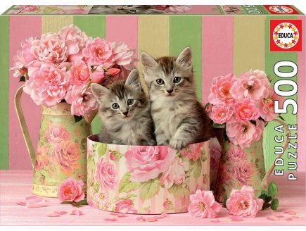 Puzzle 2 chatons dans une boite et des bouquets de roses 500 pieces - collection animaux - Educa - 17960