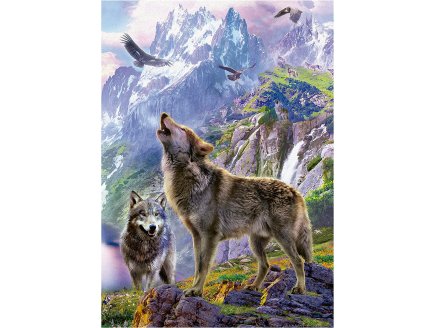 PUZZLE 2 LOUPS DANS LA MONTAGNE 500 PIECES - COLLECTION PAYSAGE ET ANIMAUX DE LA FORET - EDUCA 19548