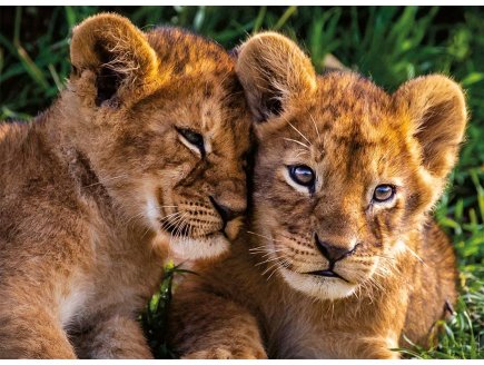 PUZZLE 2 MIGNONS LIONCEAUX 250 PIECES - NATHAN COLLECTION ANIMAUX DE LA SAVANE 86881