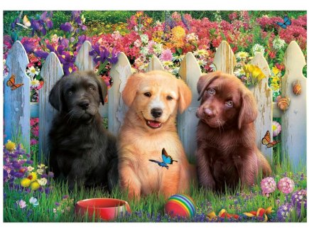 Puzzle 3 adorables chiots labrador 100 pièces - Chiens, Animaux de compagnie - Educa - 19994