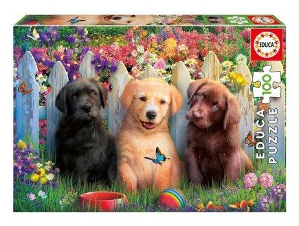 Puzzle 3 adorables chiots labrador 100 pièces - Chiens, Animaux de compagnie - Educa - 19994
