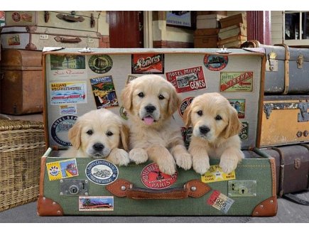 PUZZLE 3 CHIOTS DANS LA VALISE 500 PIECES - COLLECTION ANIMAUX - EDUCA - 17645