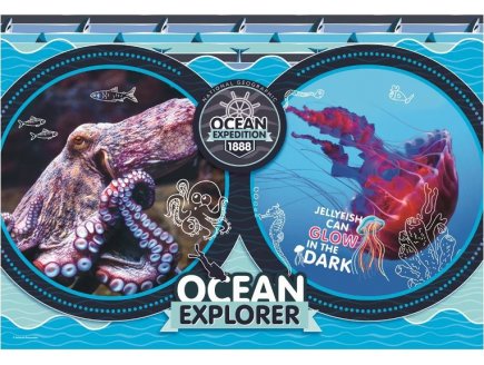 Puzzle animaux marins poulpe et meduse - 180 pieces - collection national geographic - Clementoni - 29205