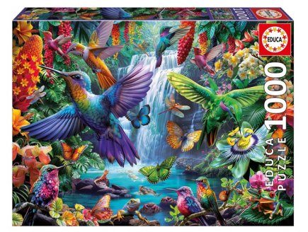 Puzzle Colibris et Papillons, multicolore 1000 pieces - Oiseaux, For�t tropicale - Educa - 20555