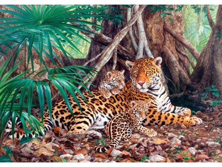 PUZZLE FAMILLE DE JAGUAR DANS LA JUNGLE  3000 PIECES - COLLECTION ANIMAUX SAUVAGES - FELIN