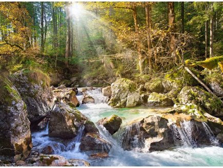 PUZZLE LE TORRENT  DANS LA FORET 2000 PIECES - COLLECTION PAYSAGE