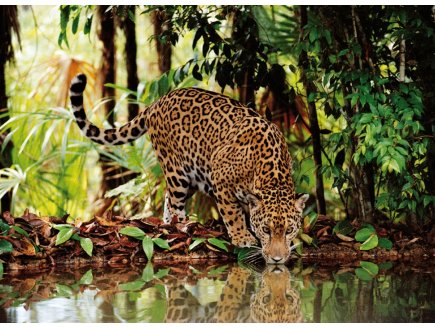 PUZZLE LEOPARD DANS LA JUNGLE 2000 PIECES - COLLECTION ANIMAUX SAUVAGE - CLEMENTONI - 32537