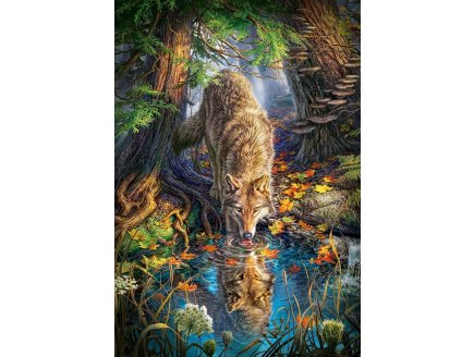 PUZZLE LOUP BOIT DANS LA RIVERE DE LA FORET - 1500 PIECES COLLECTION ANIMAUX SAUVAGES - CASTORLAND