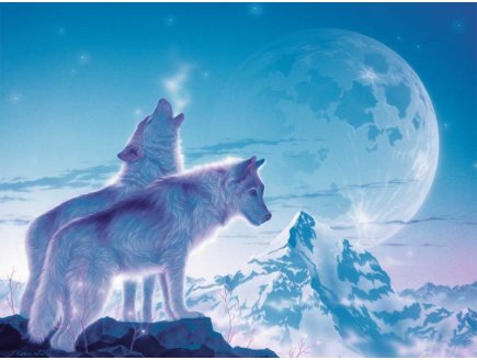 PUZZLE LOUPS : LE CHANT DE L'AUBE - 1500 PIECES COLLECTION ANIMAUX - RAVENSBURGER - 162086