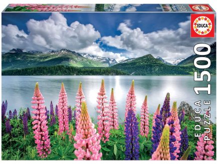 Puzzle lupins sur les rives du lac de sils 1500 pieces - collection paysage suisse - Educa - 19271