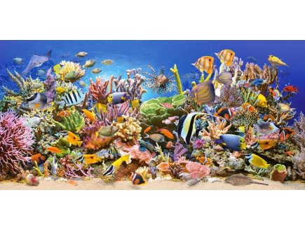 PUZZLE MONDE SOUS MARIN : POISSONS - RAIE 4000 PIECES - COLLECTION MER ET OCEAN