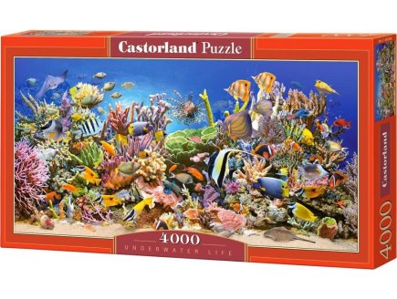 Puzzle monde sous marin : poissons - raie 4000 pieces - collection mer et ocean