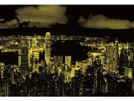 Puzzle neon ville de chine : hong kong 1000 pieces - collection fluorescent - Educa 18462