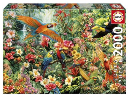 Puzzle Oiseaux tropicaux d'Amazonie 2000 pi�ces - Collection For�t Tropicale, Exotique - Educa - 20574