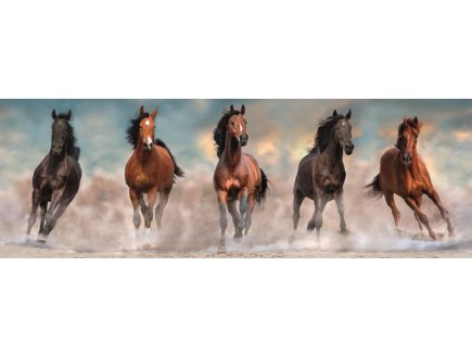 PUZZLE PANORAMA CHEVAUX BRUN ET NOIR QUI COURENT 1000 PIECES - COLLECTION ANIMAUX - CLEMENTONI - 39875