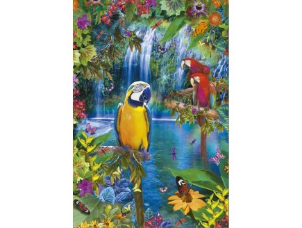 PUZZLE PERROQUET : PARADIS TROPICAL 500 PIECES - COLLECTION ANIMAUX - EDUCA - 15512