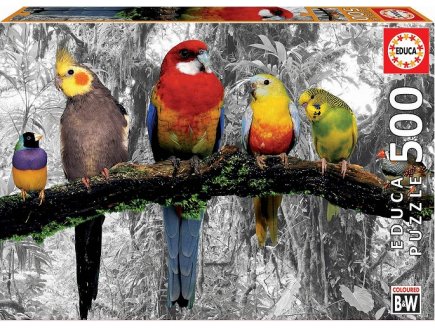 Puzzle perroquets dans la jungle 500 pieces - collection oiseaux - Educa - 17984