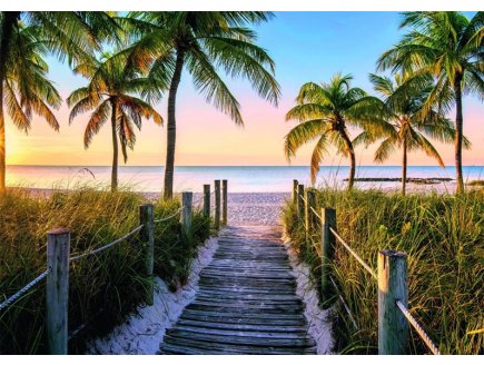 Puzzle Plage de Floride au lever du soleil 1000 pi�ces - Collection Evasion, Voyage - Nathan - 12000916