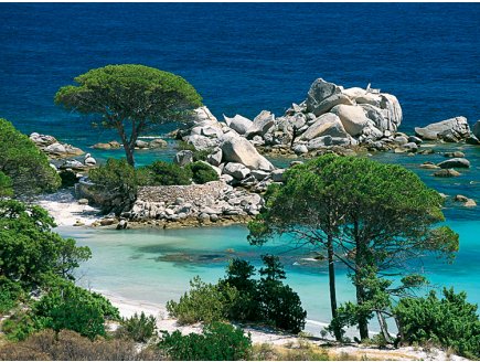 PUZZLE PLAGE DE PALOMBAGGIA 1000 PIECES - COLLECTION EVASION - CORSE - NATHAN 
