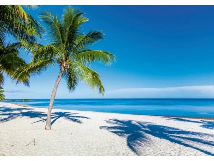 PUZZLE PLAGE PARADISIAQUE 1000 PIECES - COLLECTION MER ET VACANCES - RAVENSBURGER - 159895