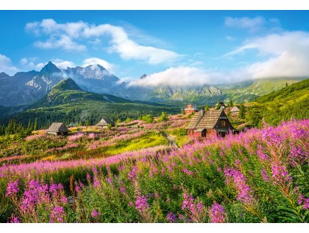 PUZZLE POLOGNE : GASIENICOWA VALLEE DANS LES MONTAGNES TATRAS 1000 PIECES - COLLECTION PAYSAGE ASIE ET MONTAGNE - CASTORLAND