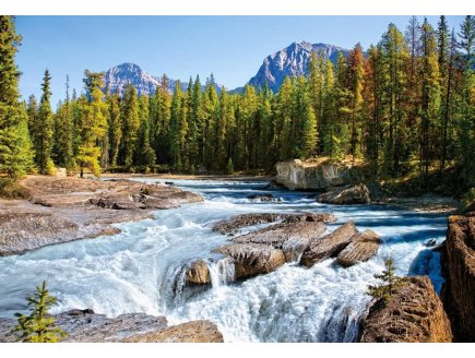 PUZZLE RIVIERE ATHABASCA DANS LE PARC NATIONAL JASPER - 1500 PIECES COLLECTION CANADA - CASTORLAND